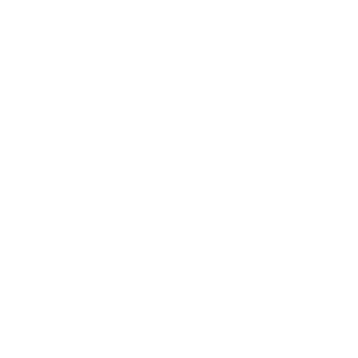Experience Icon